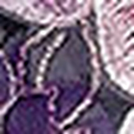 Ｔバックショーツ, , swatch