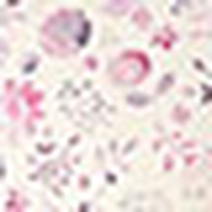 パジャマ, , swatch