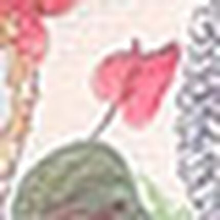 ノンワイヤーブラ, , swatch