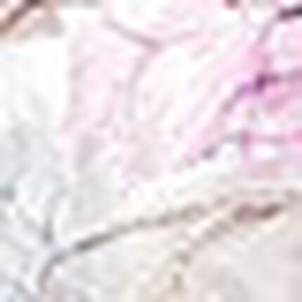 キャミソール, , swatch