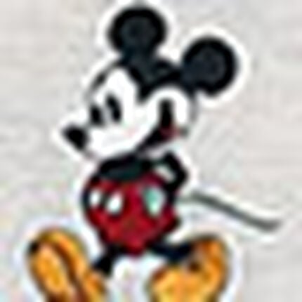 Ｔシャツ, , swatch