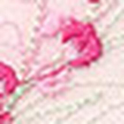 ショーツ, , swatch