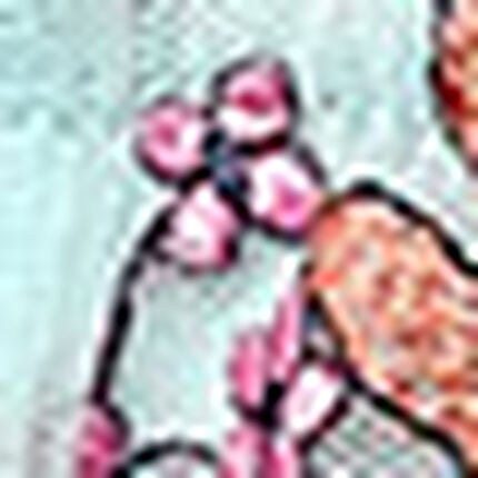 ガーターベルト, , swatch