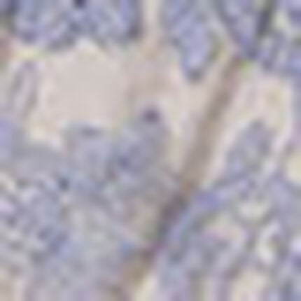 ショーツ, , swatch