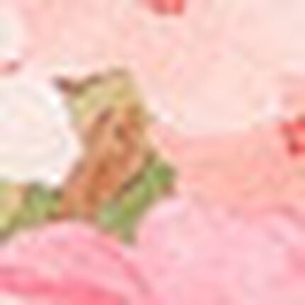ショーツ, , swatch