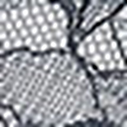 ３／４カップブラ（ノンワイヤーブラ）, , swatch