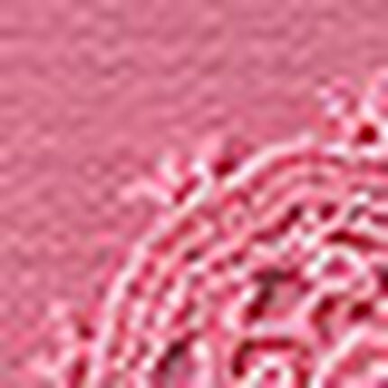 Ｔバックショーツ, , swatch