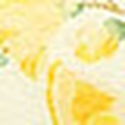 ノンワイヤーブラ, , swatch