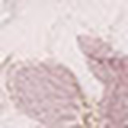 Ｔバックショーツ, , swatch