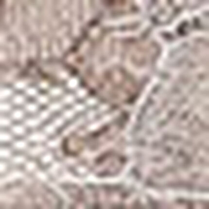 ショーツ, , swatch