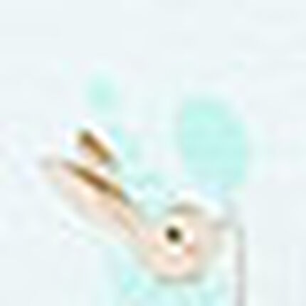ジュニアノンワイヤーブラ, , swatch
