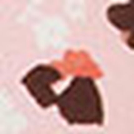 ジュニアノンワイヤーブラ, , swatch