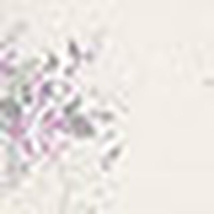 パジャマ, , swatch