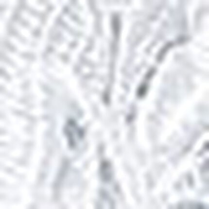 ガーターベルト, , swatch