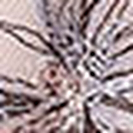 ショーツ, , swatch