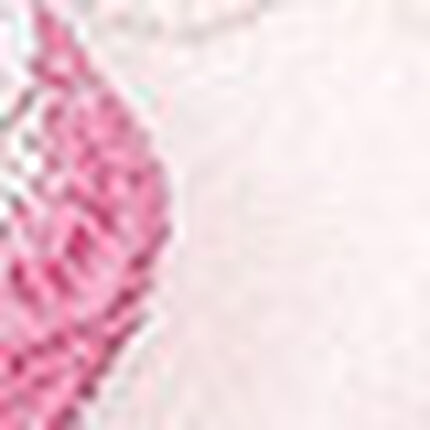 ガーターベルト, , swatch