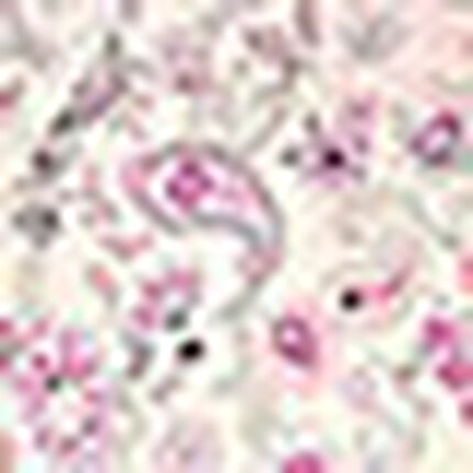 パジャマ, , swatch