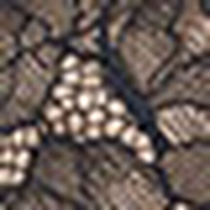 ショーツ, , swatch