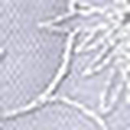 ショーツ, , swatch