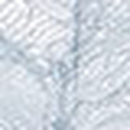 Ｔバックショーツ, , swatch