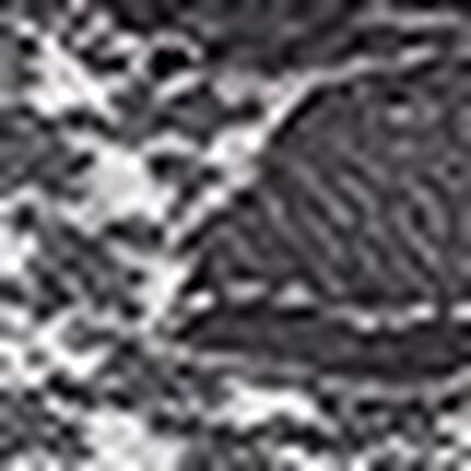 ショーツ, , swatch