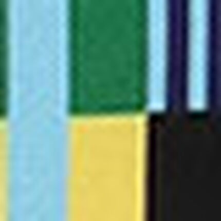 水着（トップ）, , swatch