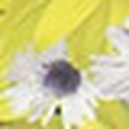 メンズボクサーパンツ, , swatch