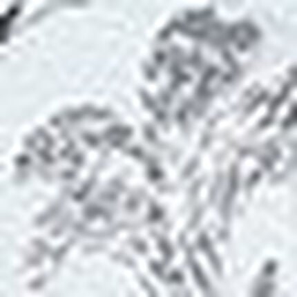 ３／４カップブラ, , swatch