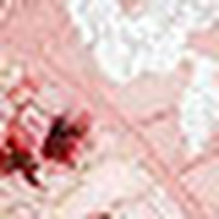 ショーツ, , swatch