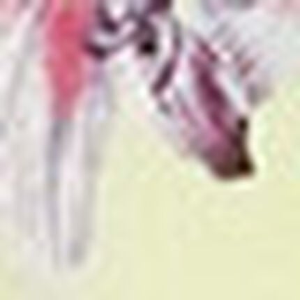 ４／５カップブラ, , swatch