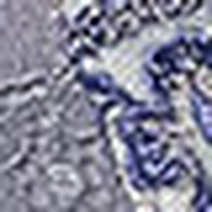 ショーツ, , swatch