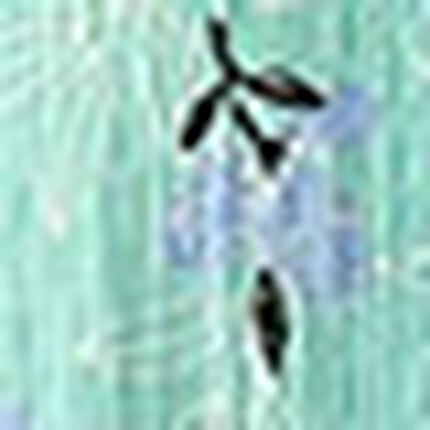 パジャマ, , swatch