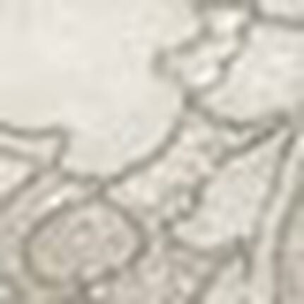 Ｔバックショーツ, , swatch