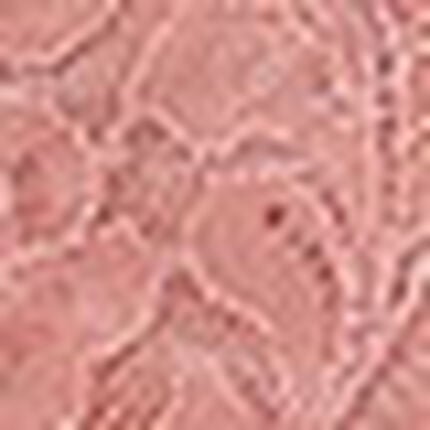 ショーツ, , swatch