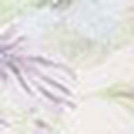 Ｔバックショーツ, , swatch