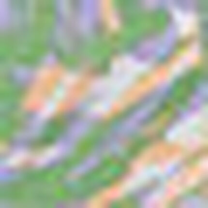 ボクサーパンツ（前閉じ）, , swatch