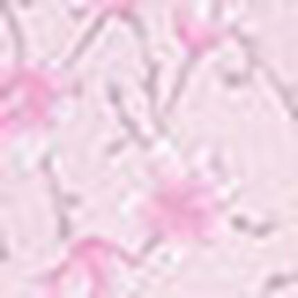 パジャマ, , swatch