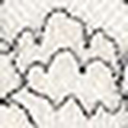 ショーツ, , swatch