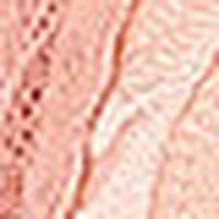 ３／４カップブラ, , swatch