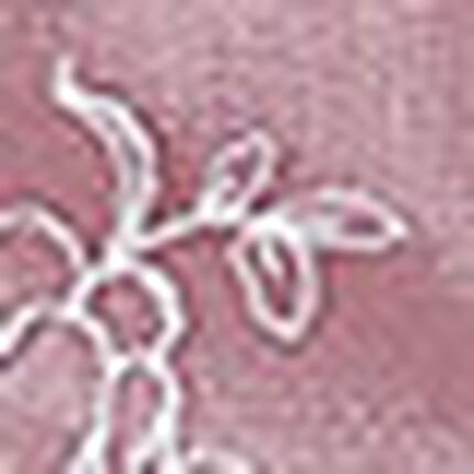 ショーツ, , swatch