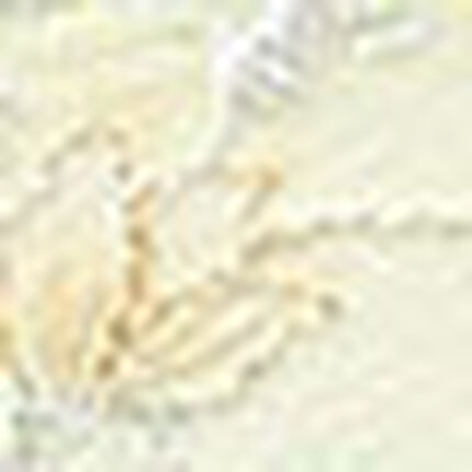 レディスショーツ, , swatch