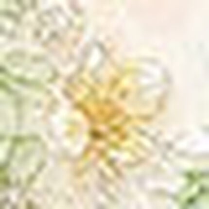 ショーツ, , swatch