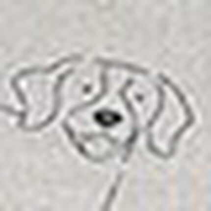 ノンワイヤーブラ, , swatch