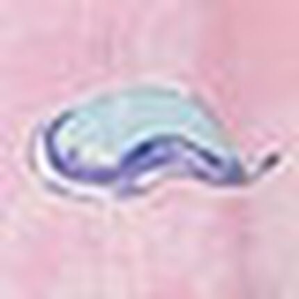 ネグリジェ, , swatch