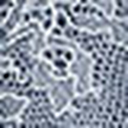 ショーツ, , swatch