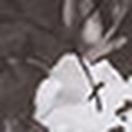 レギンス, , swatch