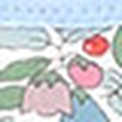 ノンワイヤーブラ, , swatch