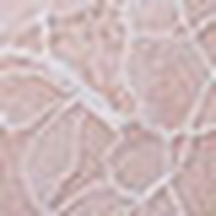 ショーツ, , swatch