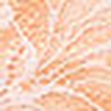 ショーツ, , swatch