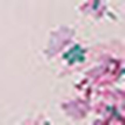 プリントトップカップ付きキャミ, , swatch